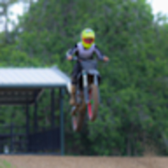 Meet your Posher, Karson - Picture 1 of 1